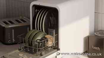 Space-saving dishwasher hailed a 'little blessing' washes in 15 minutes is £80 off