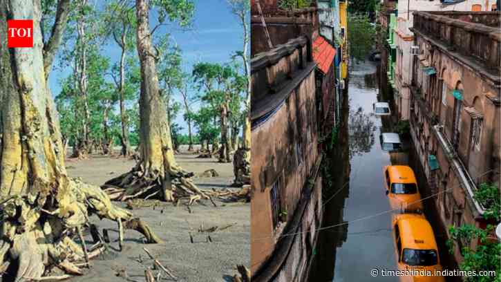 Hotter days, warmer nights, heavier rain; Kolkata's climate set for sharp shift by 2040