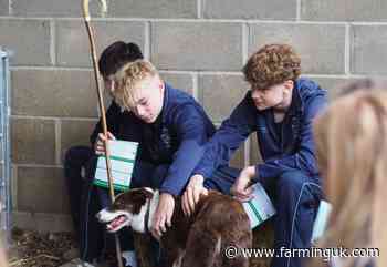 Farming careers brought to life for more than 500 Suffolk pupils