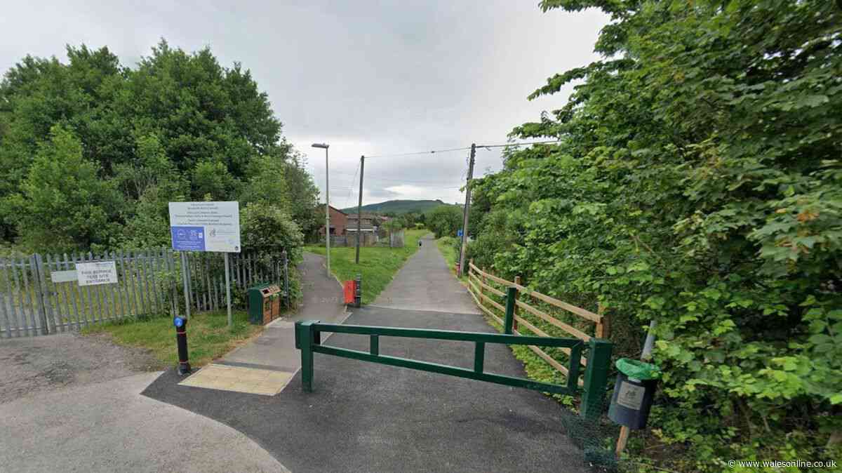 Woman in serious condition after telegraph pole fell on her