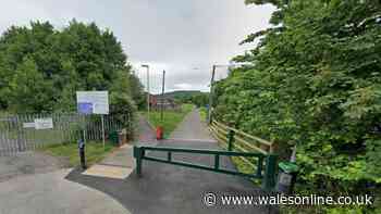 Woman in serious condition after telegraph pole fell on her