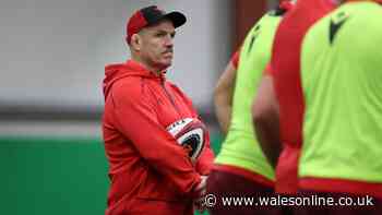 Wales announce new coach as former star beats legend to role