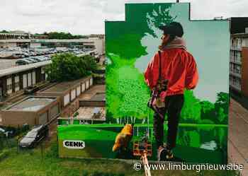 In Limburg: Gigantische muurschildering in de Molenstraat Genk