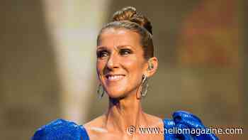 Celine Dion, 58, poses in skyscraper heels with $20k bag amid health battle