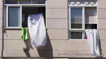 Brits told to hang damp and cold towels in their windows today