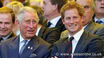 'It's game over' for Prince Harry if King Charles makes one harsh choice upon UK return
