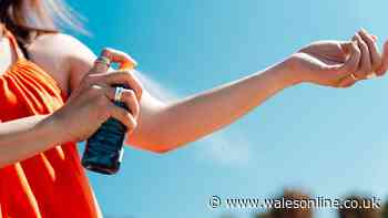 Difference between SPF, UVA and UVB explained