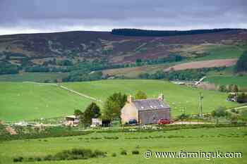 Farm wages rules putting Scotland at disadvantage, union warns