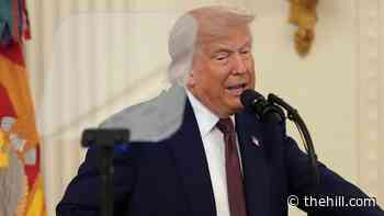 Trump says there are 'no limits' to his power