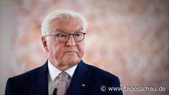 Nachfolge des Bundespräsidenten: Steinmeier spricht sich für Politik-Profi aus