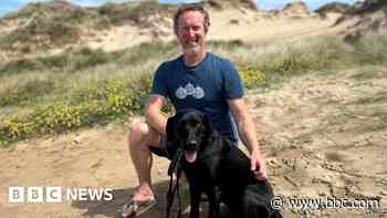Dog owners urged to be 'cautious' of adders