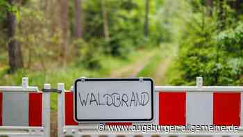 Wollten Brandstifter einen Wald bei Kleinberghofen abfackeln? Kripo ermittelt