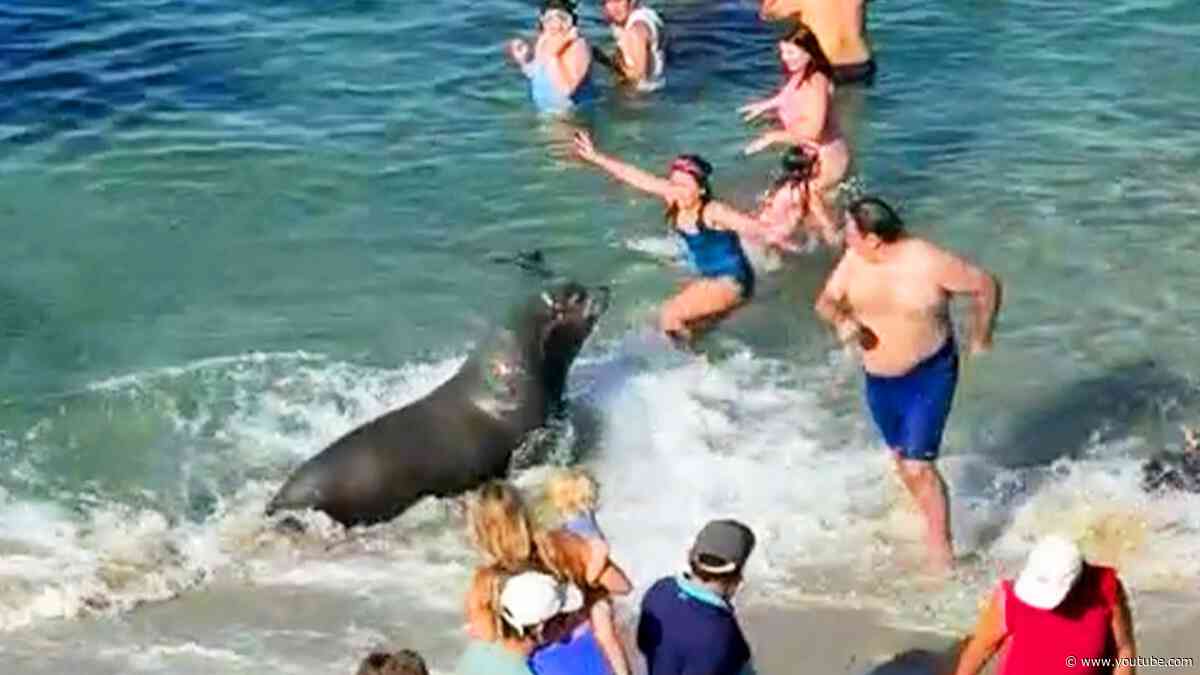 Damn Nature You Crazy | Fails in the Wild!