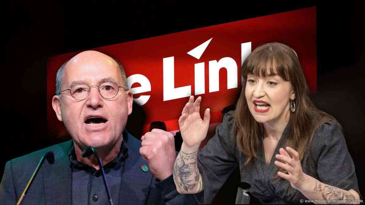 Streichelzoos und staatliche Waffenfirmen: Worüber die Linke auf dem Parteitag abstimmt