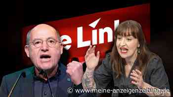 Streichelzoos und staatliche Waffenfirmen: Worüber die Linke auf dem Parteitag abstimmt
