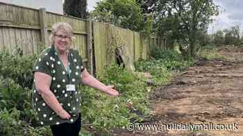Councillors raise concerns following hedgerow work on Anlaby Common
