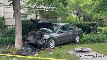 90-year-old man dies in hospital after car hits tree, police say