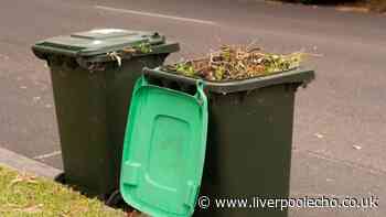 Garden waste you can no longer recycle due to new rules — full list
