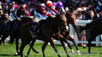 Royal Ascot 2026: Libertango swoops to deny favourite Sun Goddess in the opener