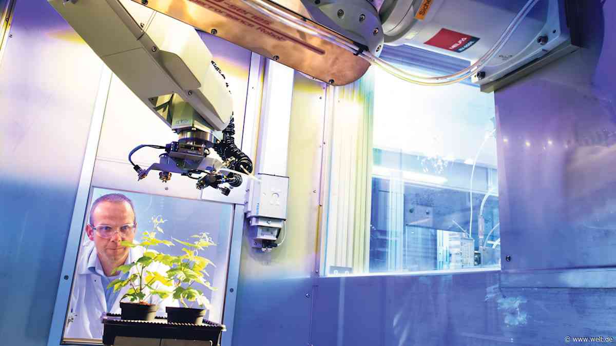 Der Glyphosat-Fluch verfolgt Bayer – nun soll Monsanto zum Retter werden