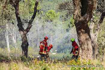 « Ce type d’exercice est essentiel pour que chacun soit prêt à réagir efficacement » : un exercice incendie grandeur nature près d’Hyères