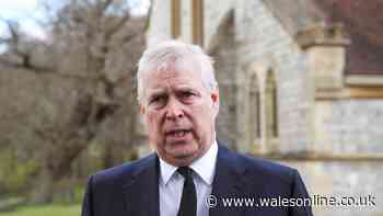 'I joined Andrew Mountbatten-Windsor on overseas trip and he told me job he truly wanted'