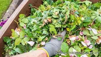 Common garden waste you can no longer recycle under England's new rules