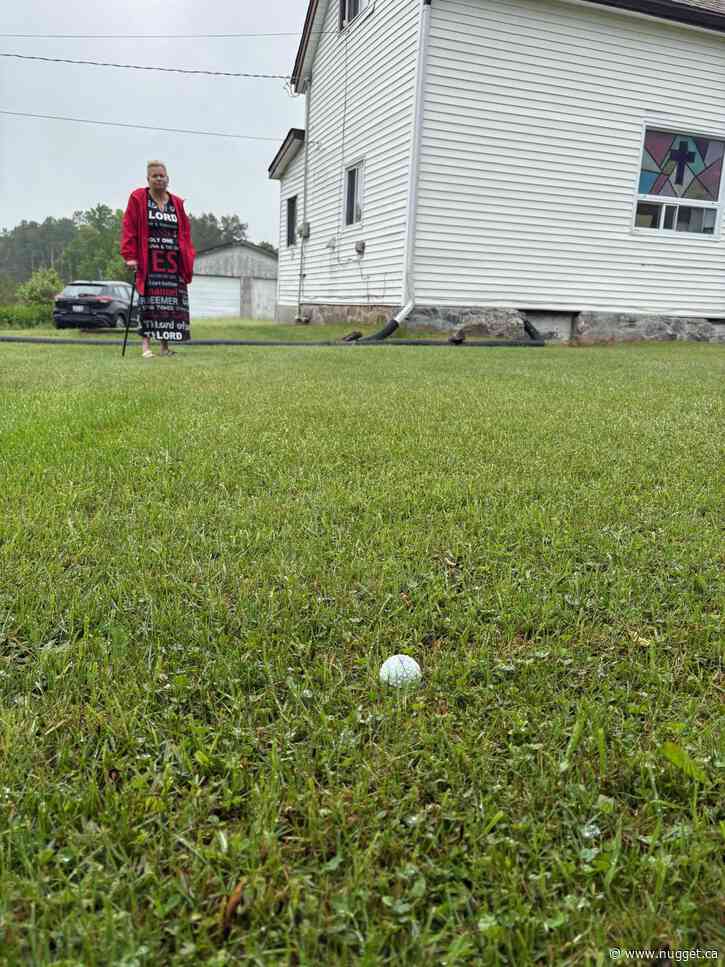 FORE!! DUCK! LOOK OUT!!! - PHOTO GALLERY