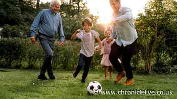 Urgent alert for anyone using football nets in back garden this summer