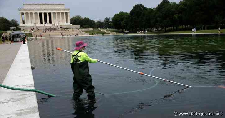 La ristrutturazione della vasca del Lincoln Memorial voluta da Trump è un disastro