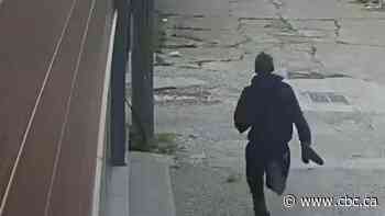 Windsor police seek person of interest in fire that damaged WindsorEats