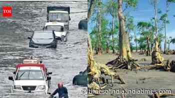 Sundarbans and Kolkata confront alarming rising heat and flood risks as salinity threats escalate in local ecosystems