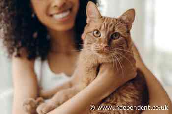 New study reveals how much each generation spends on their pet