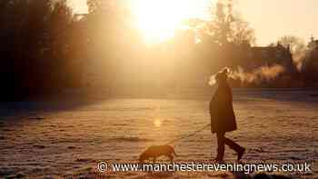 Dog owners could be handed £500 fine as major law change comes into force this month