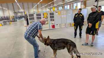 Training der besonderen Art: So schult die Post ihre  Zusteller im Umgang mit Hunden