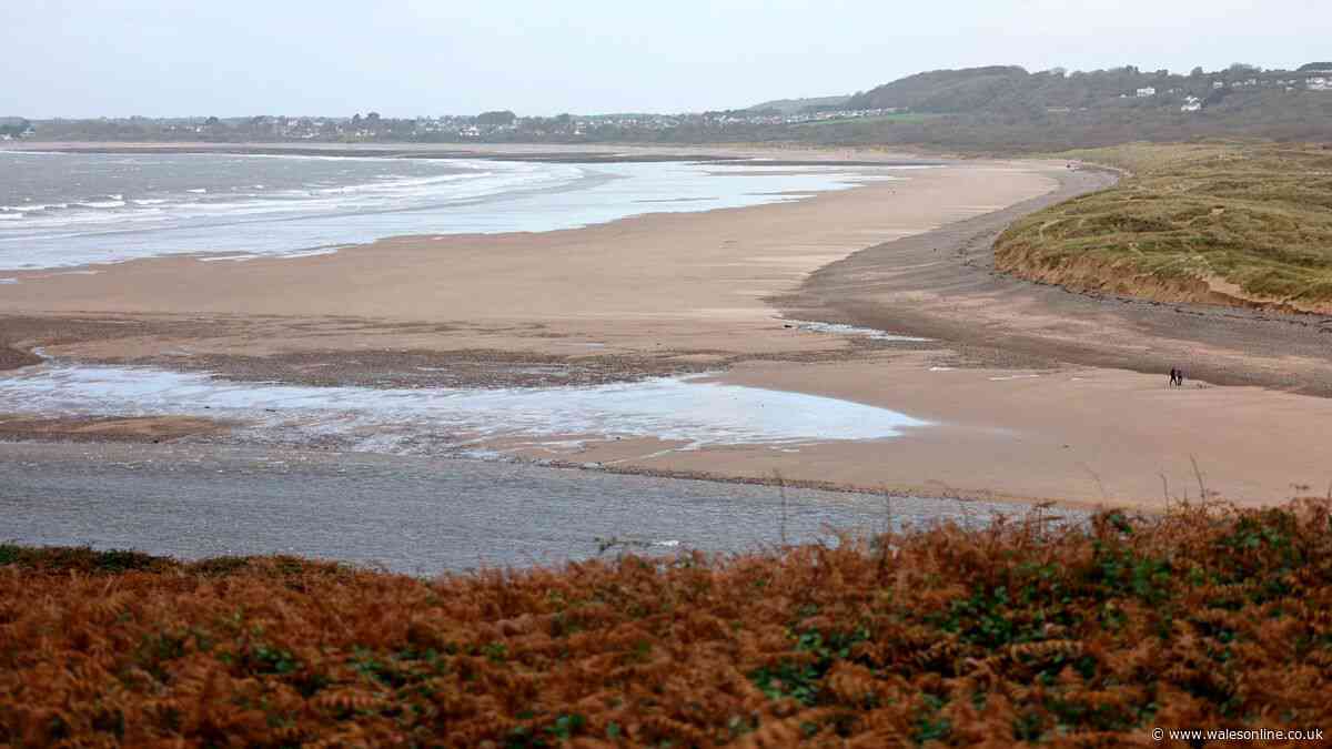Welsh Water told it needs to work quicker to fix water quality in River Ogmore