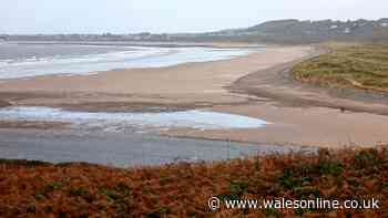 Welsh Water told it needs to work quicker to fix water quality in River Ogmore