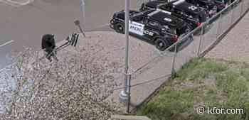 Watch: Bear caught sneaking into police parking lot