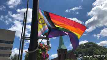 Pride flag vandalized at Thorold, Ont., school during Pride Month, man charged, police say