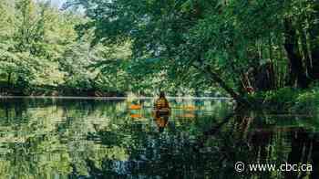 Fredericton hopes to attract recreational paddlers, tourists with new paddling map