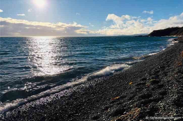 Scientist warns of potential impacts of super El Niño on Vancouver Island