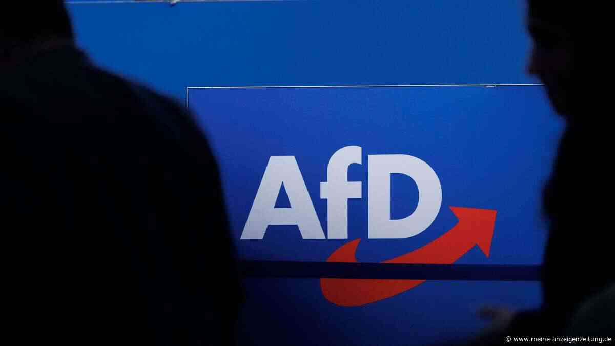 Merz-Regierung verliert an Rückhalt: AfD baut mit neuen Rekordwerten Vorsprung aus