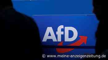 Merz-Regierung verliert an Rückhalt: AfD baut mit neuen Rekordwerten Vorsprung aus