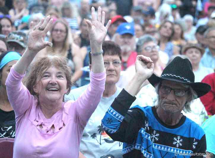 Rotaryfest needs food court help