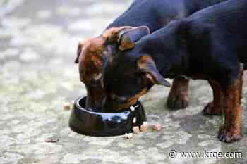 Over 400,000 lbs of pet food recalled across several states