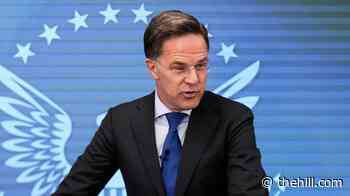 NATO chief, Trump to meet at White House amid tensions