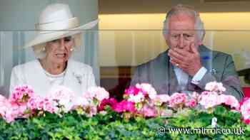 King Charles' emotion at Royal Ascot speaks volumes about him