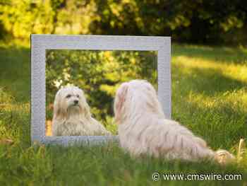 The Mirror Problem: Why Generic Content Can’t Win in AI Search