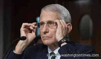 Tulsi Gabbard: Fauci lied to Congress, directed Wuhan research funding
