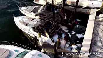 Four boats catch fire at Miami marina; officials work to determine cause